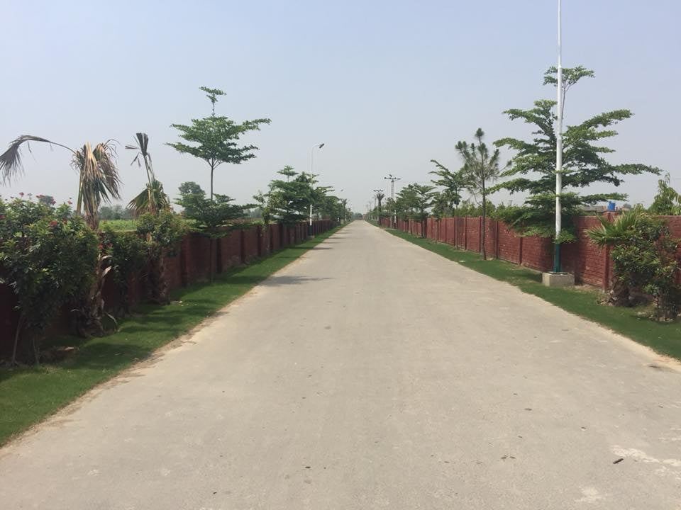 Chaudhary Farms photo 5, Main Barki Road, Lahore — Abdul's Venture, DHA Lahore