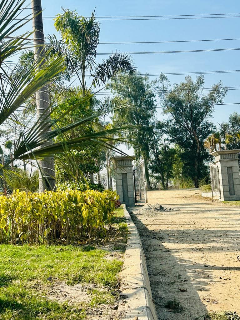 Defence View Farms (DVF) photo 2, 700m from Main Barki Road, opposite DHA Phase 7 — Abdul's Venture, DHA Lahore