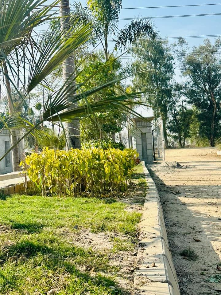 Defence View Farms (DVF) photo 3, 700m from Main Barki Road, opposite DHA Phase 7 — Abdul's Venture, DHA Lahore