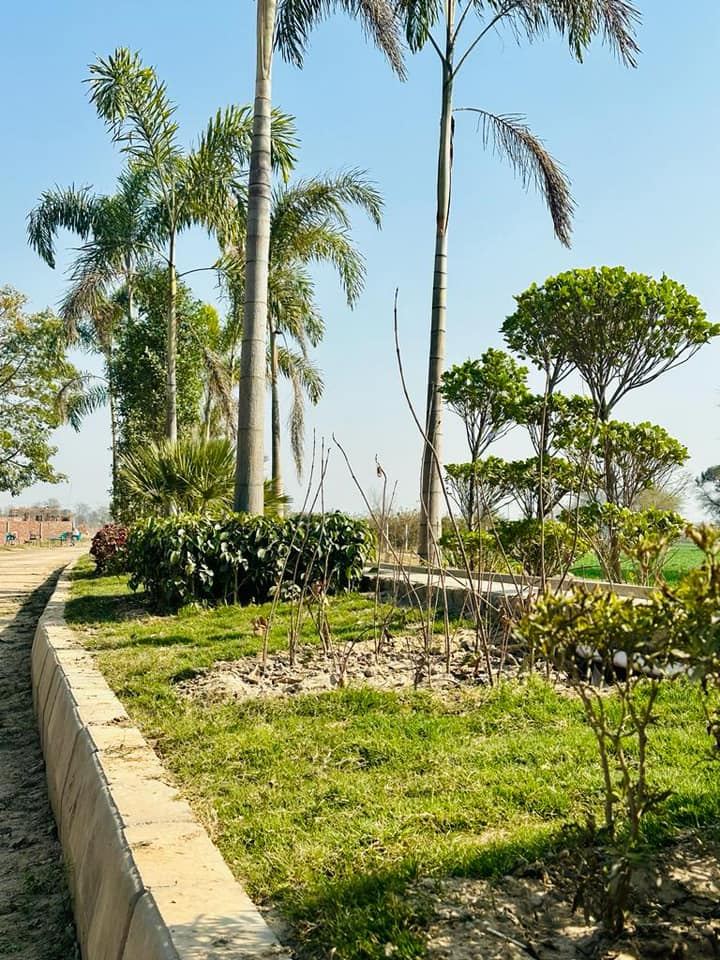 Defence View Farms (DVF) photo 4, 700m from Main Barki Road, opposite DHA Phase 7 — Abdul's Venture, DHA Lahore