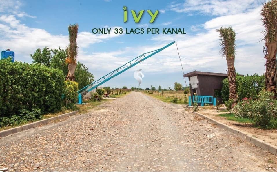 IVY Farms photo album — Abdul's Venture, DHA Lahore