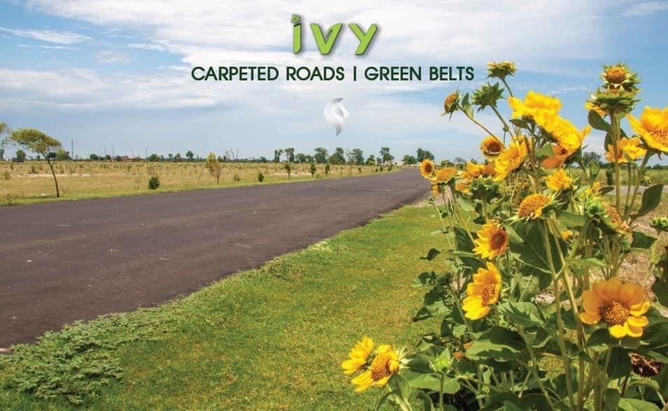 IVY Farms photo 3, Bedian corridor, Lahore — Abdul's Venture, DHA Lahore